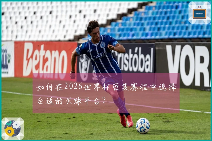 如何在2026世界杯密集赛程中选择合适的买球平台？