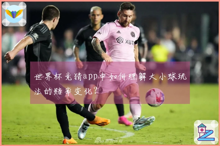 世界杯竞猜app中如何理解大小球玩法的赔率变化？