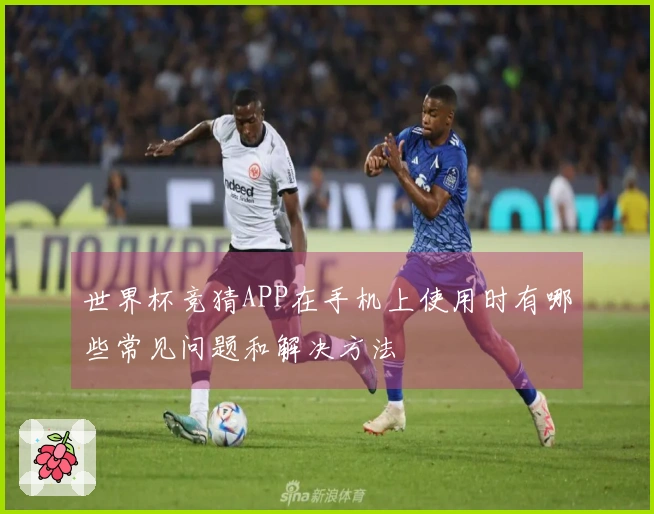 世界杯竞猜APP在手机上使用时有哪些常见问题和解决方法