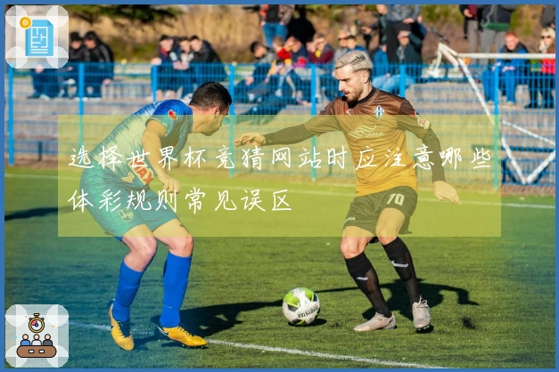 选择世界杯竞猜网站时应注意哪些体彩规则常见误区
