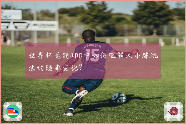 世界杯竞猜app中如何理解大小球玩法的赔率变化？